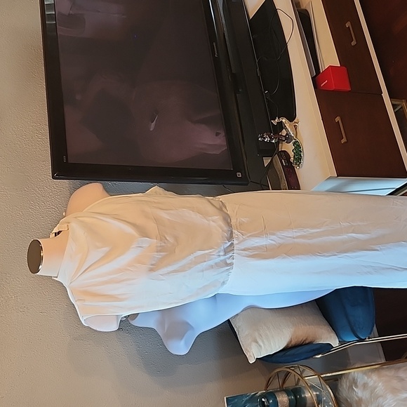 Pretty Garden White Mock Neck Dress w/Assymetrical sleeveless sleeves, NWT XXL - Picture 5 of 13